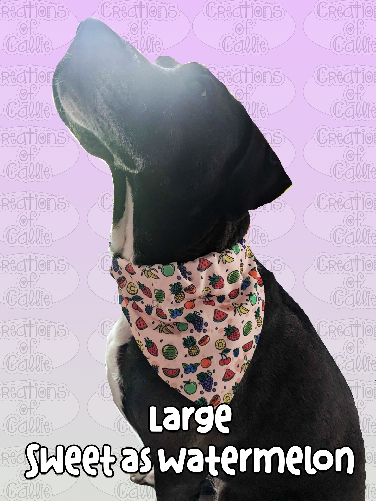 Dog Bandana with snaps