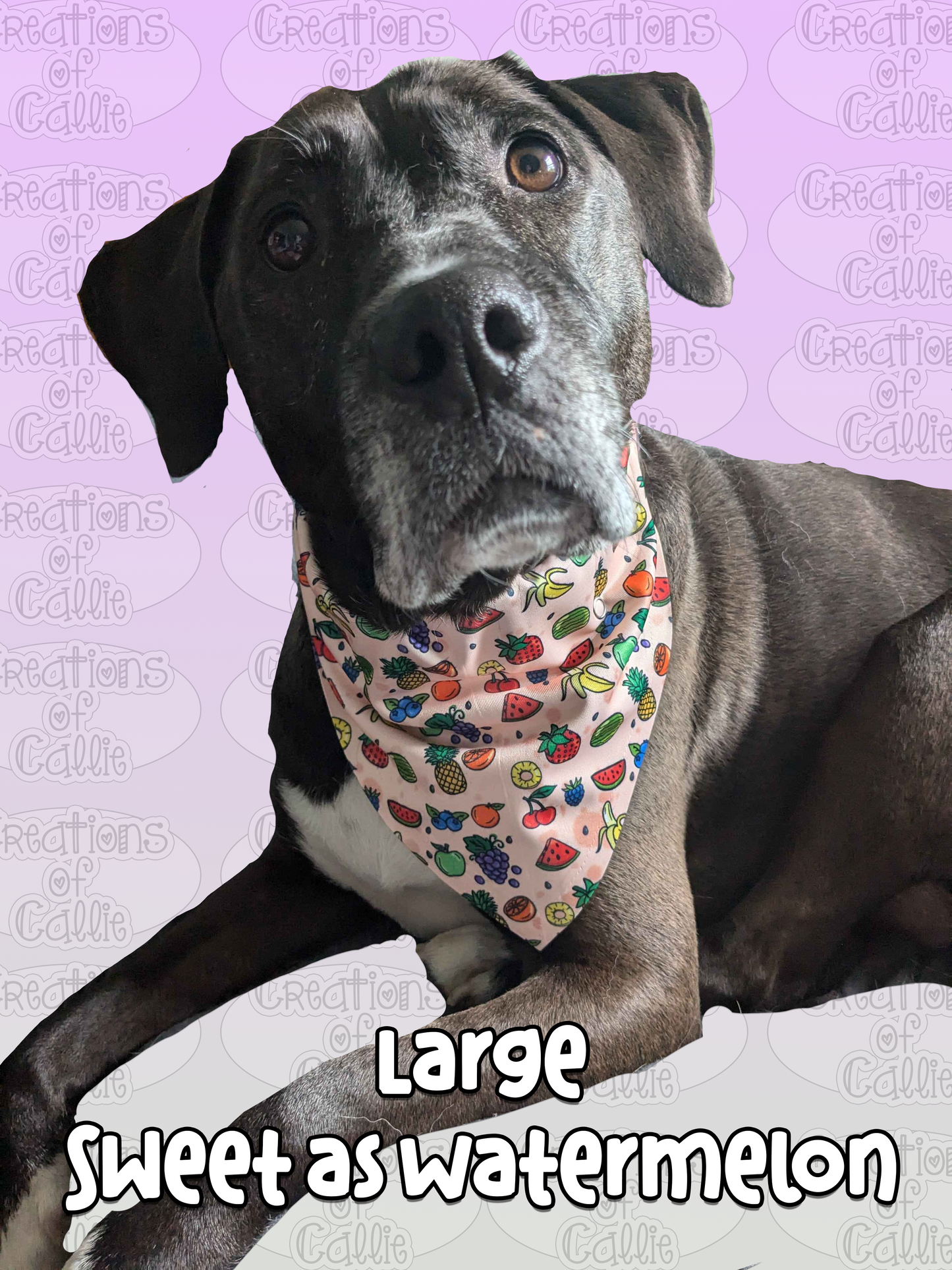 Dog Bandana with snaps