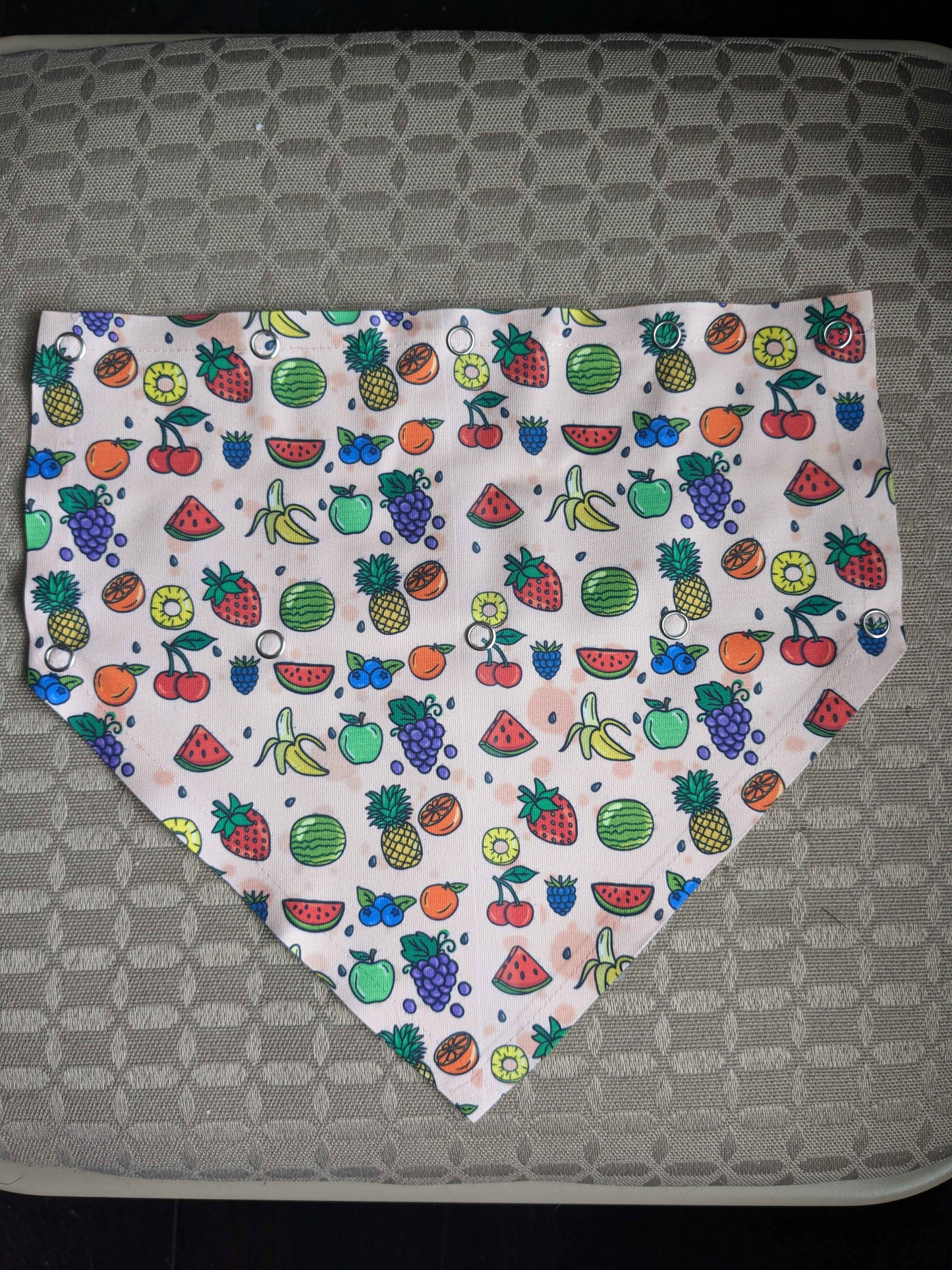 Dog Bandana with snaps